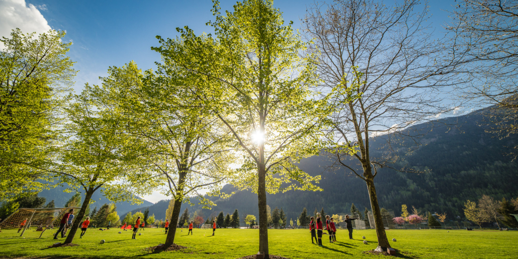 Terry Walgren Tournament